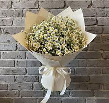 Букет цветов из:  Ромашки в Берёзово