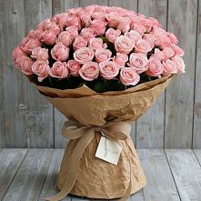 Букет 151 Роза Роуз #REPLACE_PRED# Берёзово