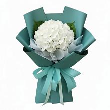 Букет цветов из:  Гортензия #REPLACE_PRED# Берёзово